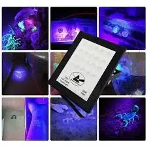 Refletor Luz Negra Led 30w Ip67 Uv Dj Festa Prova D'água