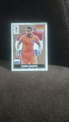 Vendo cody gakpo bronze