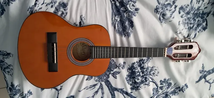 Cavaquinho Giannini start
