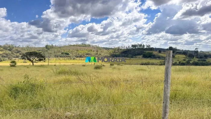 FAZENDA À VENDA - 104 HECTARES - ITAPECERICA (MG)