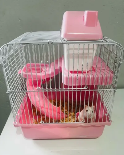 Hamster + Gaiola
