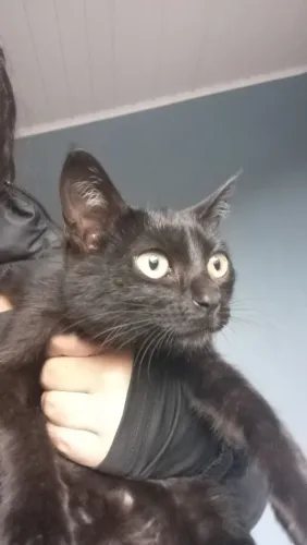 Doa se gata