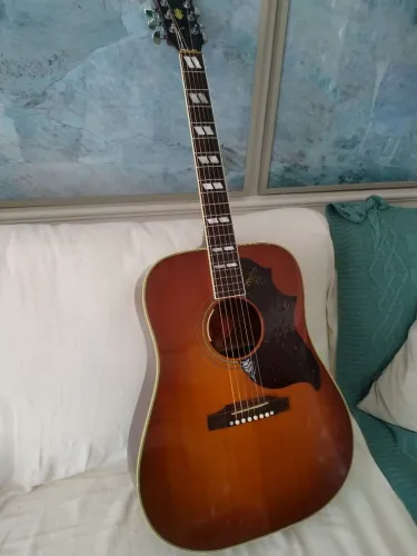 Gibson hummibird standart