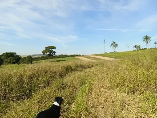 Região Sorocaba Sítio 19,5 Alqueires em Rodovia Estadual 