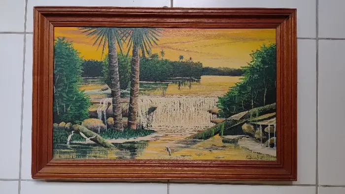 Quadro decorativos Amazônicos.
