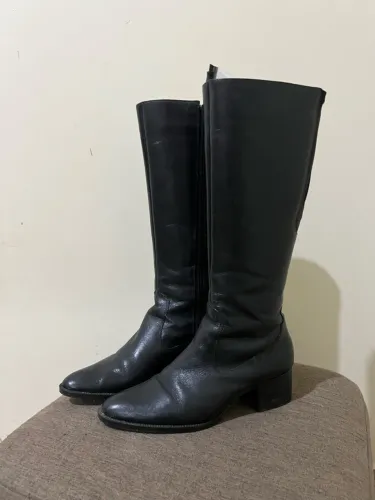 Bota