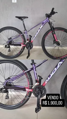 BICICLETA AUDAX
