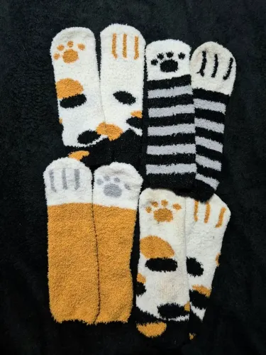 8 meias de Pata de Gato