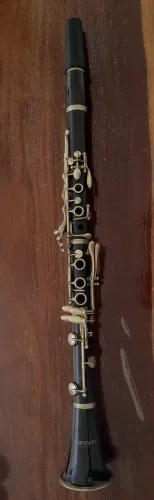 Clarinete michael 17ch madeira 