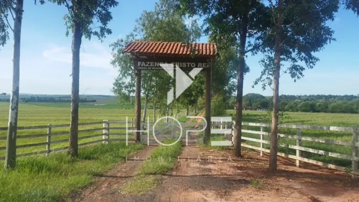 Fazenda à venda com 126 alqueires - pecuária de corte - 12 piquetes - margem de rodovia -