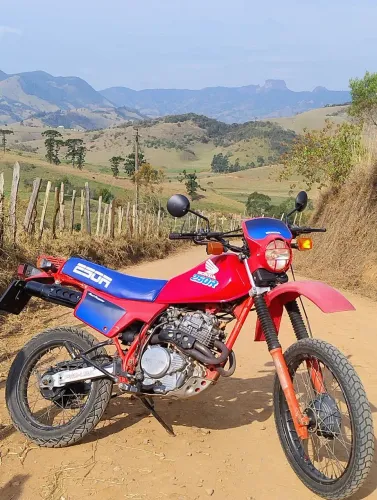 Xlx 250