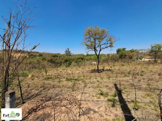 Sítio para Venda em Limeira, BAIRRO DO PINHAL