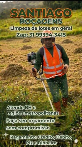 Limpeza de lotes em geral