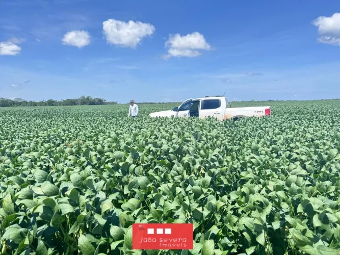 Fazenda para Venda em Pedro Afonso