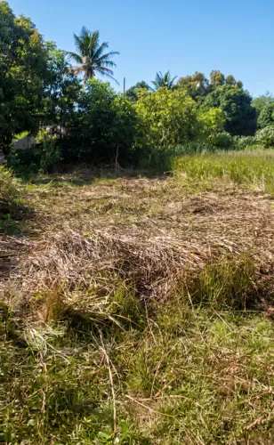 Terreno Village do Sol 250m² - Próximo a Supermercado, Escola e Praça.