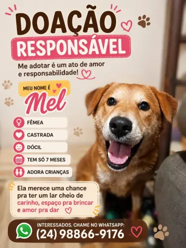 Doação