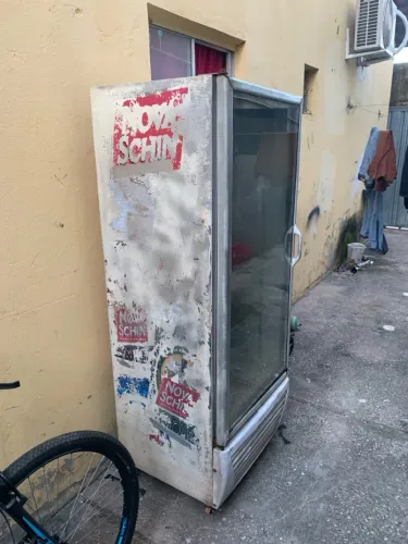 Freezer vertical