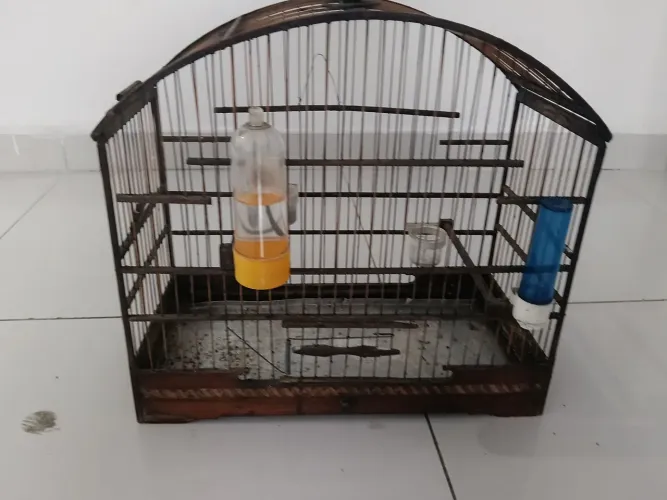 Gaiola