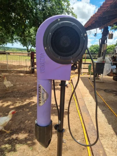 Secador para cachorro 