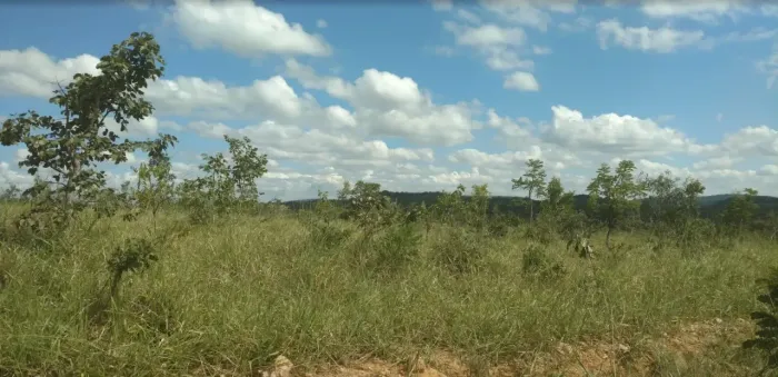 Imóvel para venda possui 20000 metros quadrados em Zona Rural - Cordisburgo - MG