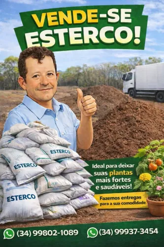 Vende-se Esterco de Vaca