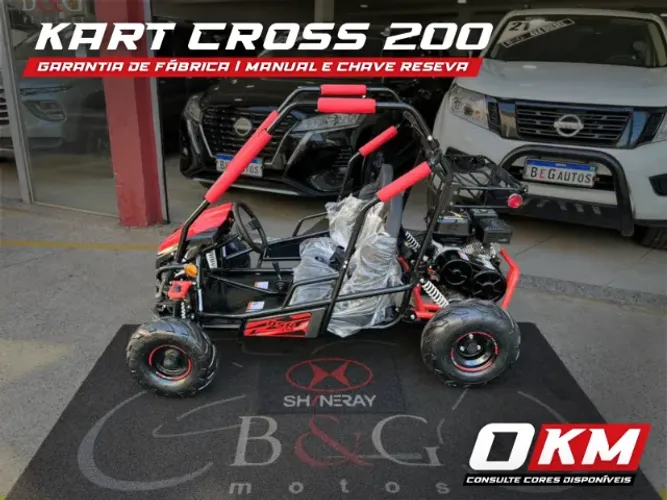 SHINERAY KART CROSS 200 0KM