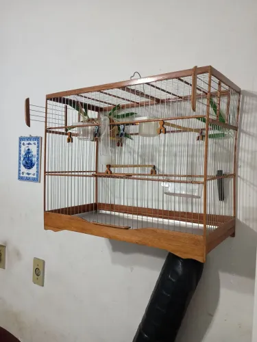 Animais de estimação e assessórios 