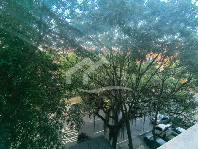 Apartamento : Padrão / Residencial / Botafogo
