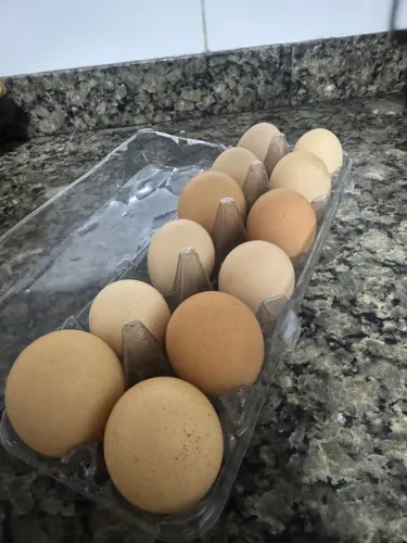 OVOS DE GALINHA CAIPIRA