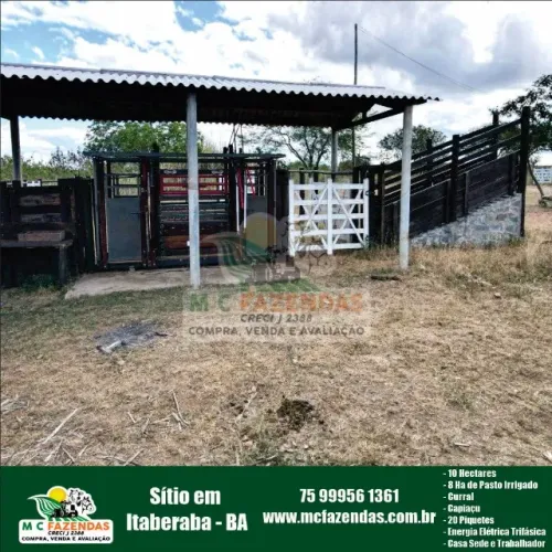 Sitio em Itaberaba - BA | 10 Hectares | 8 Hectares Irrigados | Curral