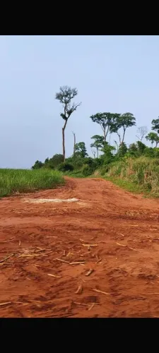 Fazenda de cana melhor preço 
