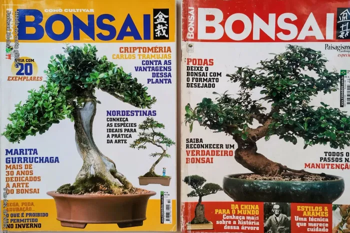 Revistas,literatura japonesa da arte do Bonsai,para quem deseja iniciar nesta arte milenar