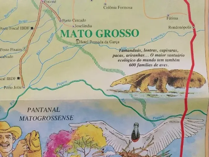 Pantanal - Mato Grosso - Mapa decorativo antigo com ilustrações