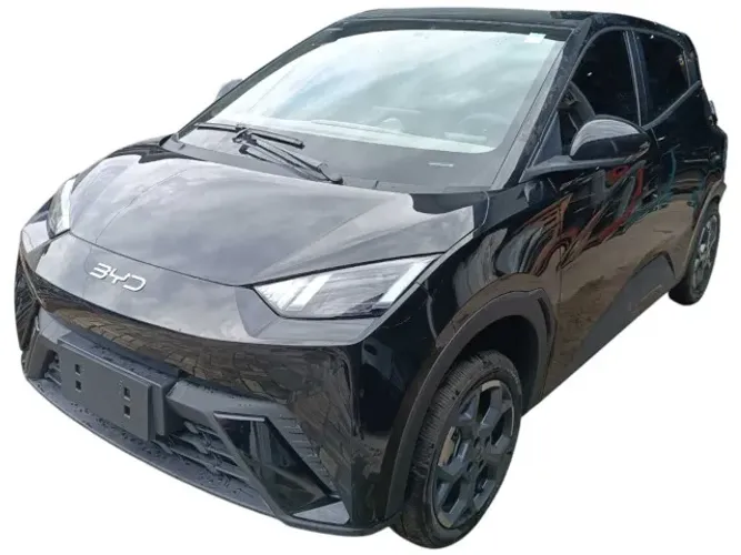 Peças Sucata BYD Dolphin Mini EV GS 55KW 2025/2026