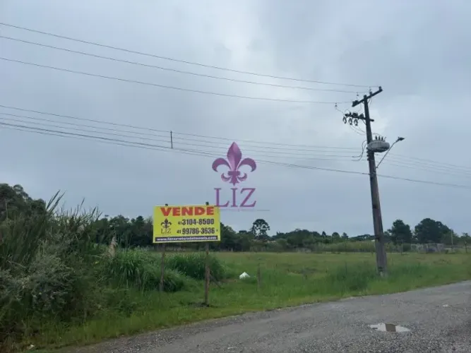 Lotes à venda em Quatro Barras (LOTE N° 129)