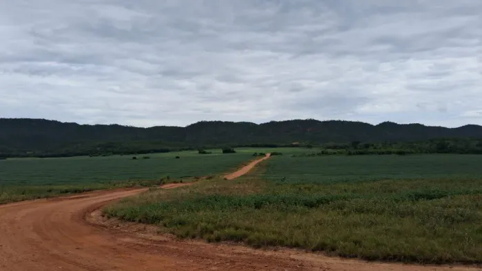 Fazenda de arrendamento 700hec e Rosário do oeste MT.