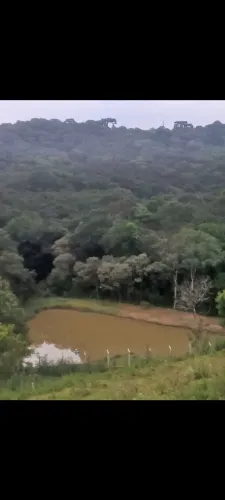 Chácara-divisa de Santa Felicidade/Curitiba/PR.