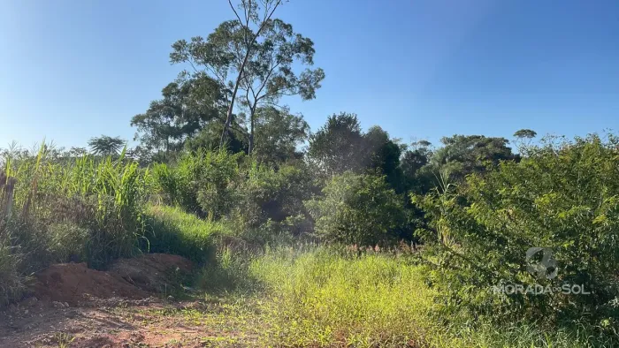Terreno em porto do moura - Canelinha