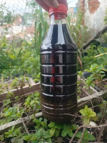 Biofertilizante Orgânico Líquido de Compostagem 1 Litro