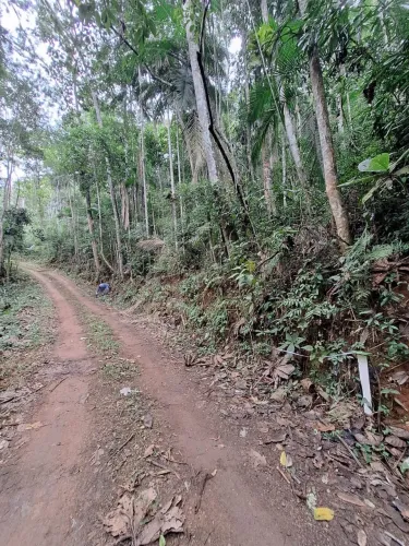 Vendo/Troco Terreno granjeamento Dias Tavares