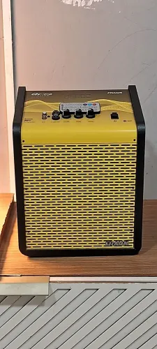 Caixa ativa multiuso Frahm 100w RMS