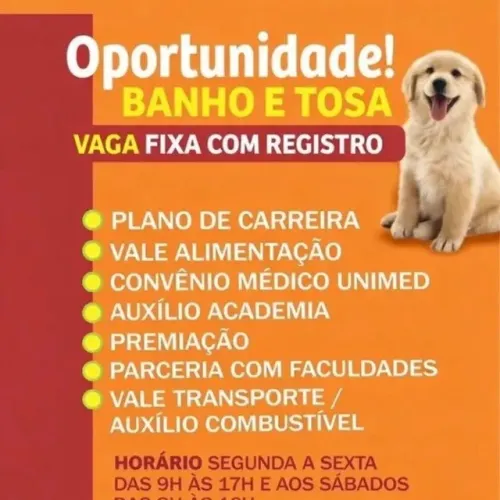 Vaga Banho e Tosa (Com ou Sem Experiência)