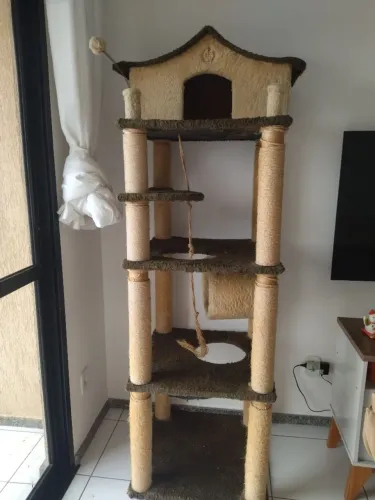 Condomínio de gatos 