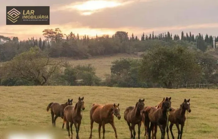 Haras com 9 dormitórios à venda, 778199 m² por R$ 24.000.000,00 - Distrito da Fazenda Velh
