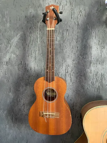 Ukulele Strinberg