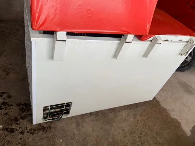 Freezer horizontal