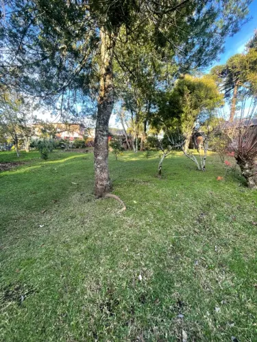 terreno em Canela RS 320m²