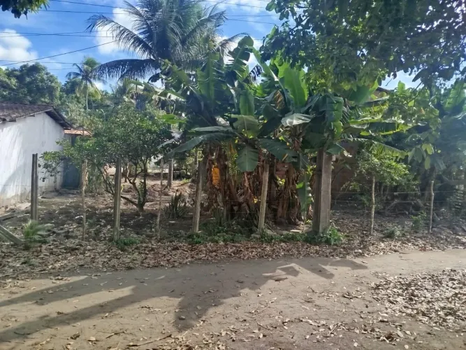 Terreno 