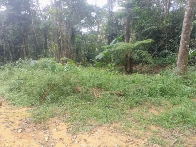 Terreno em Camboriú 50 mil