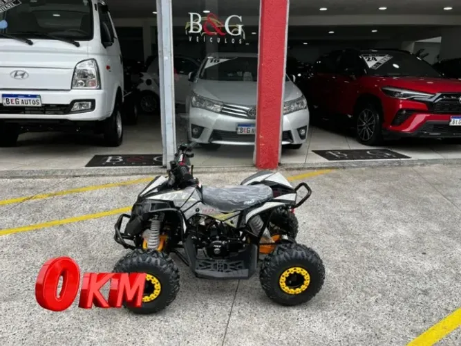 Mini Quadriciclo Mxf Thor90cc Compartida 0km Pronta Entrega